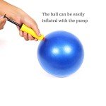 9-Inch Mini Pilates Ball with Pump for Core Training