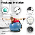 ProBody Yoga Ball Chair for Home Fitness