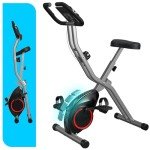 Foldable 4-in-1 Indoor Stationary Bike for Home