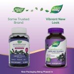 Elderberry Immune Support Gummies for All Ages