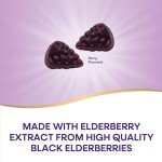 Elderberry Immune Support Gummies for All Ages