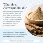 Youtheory Ashwagandha 1,000 mg Stress Support Capsules