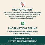Brain Supplement for Memory and Focus - 30 Capsules