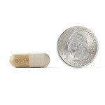 Brain Supplement for Memory and Focus - 30 Capsules