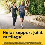 Joint Support Glucosamine Chondroitin with MSM, 120 Caplets