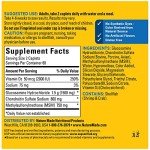 Joint Support Glucosamine Chondroitin with MSM, 120 Caplets