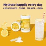 Lemonade Electrolyte Powder Drink Mix – 90 Servings