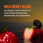 Wild Berry Electrolyte Powder Drink Mix - 14 Servings