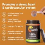 CocoaVia Dark Chocolate Fitness Cocoa Powder