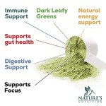 Super Greens Superfood Powder for Energy and Gut Support