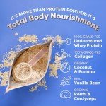 Vanilla Grass-Fed Whey Protein Powder Smoothie