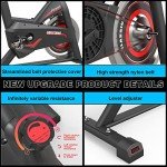 GOFLYSHINE Silent Indoor Cycling Exercise Bike