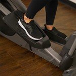 Sunny Health & Fitness Programmable Elliptical Cross Trainer