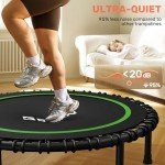Foldable Mini Trampoline with Adjustable Handle, 450/550 lbs