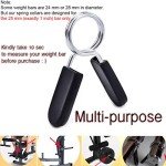 Lestino 1-Inch Spring Clip Collars for Weightlifting