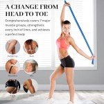 CasaCulina Resistance Bands Set for Home Workouts