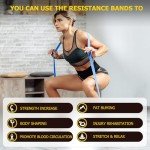 Pull Up Assistance Bands for Workout and Therapy