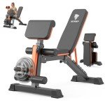 Adjustable Weight Bench for Full Body Workouts