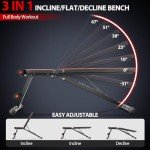 Foldable Weight Bench for Home Gym Training