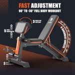 Adjustable Weight Bench for Full Body Workouts