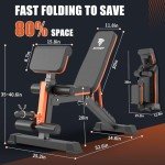 Adjustable Weight Bench for Full Body Workouts