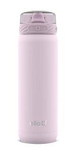 Stainless Steel 22oz Water Bottle with Straw