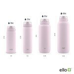 Stainless Steel 22oz Water Bottle with Straw
