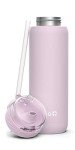Stainless Steel 22oz Water Bottle with Straw