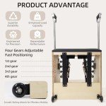 STSERT ZONE Pilates Chair with Split-Pedal Design