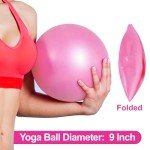 Mini Exercise Barre Ball for Yoga & Pilates