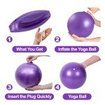 Mini Exercise Barre Ball for Yoga & Pilates