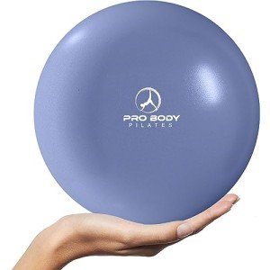 ProBody 9-Inch Pilates & Exercise Ball (Indigo)