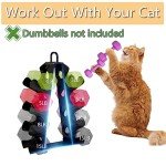 Compact 4-Tier Dumbbell Rack for Home Gym