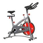 Sunny Health & Fitness Indoor Cycling Bike