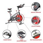 Sunny Health & Fitness Indoor Cycling Bike