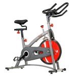 Sunny Health & Fitness Indoor Cycling Bike