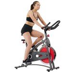 Sunny Health & Fitness Indoor Cycling Bike