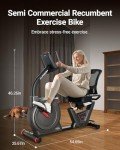 HARISON Semi Commercial Recumbent Exercise Bike for Home