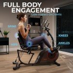 Sunny Health & Fitness Recumbent Bike with Bands