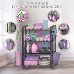 Versatile Weight Rack for Home Gym Storage