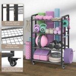 Versatile Weight Rack for Home Gym Storage