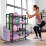 Versatile Weight Rack for Home Gym Storage