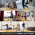 Ankle Straps for Dumbbell and Cable Machines