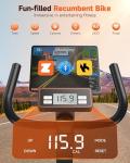 Niceday Magnetic Recumbent Bike with Smart APP