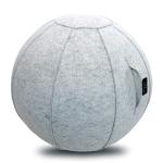 ProBody Yoga Ball Chair for Better Posture
