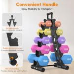 5 Tier A-Frame Dumbbell Rack for Home Gym