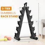 5 Tier A-Frame Dumbbell Rack for Home Gym