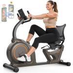 Niceday Magnetic Recumbent Bike with Smart APP