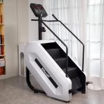EFFICRAFT Stair Stepper with LED Display & 15 Speeds