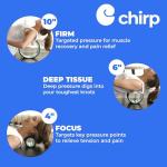 Chirp Wheel Foam Roller Set for Back Pain Relief